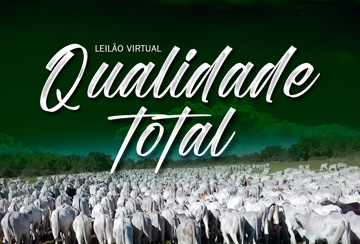 LEILÃO VIRTUAL QUALIDADE TOTAL