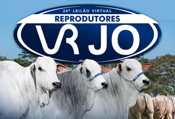 26º LEILÃO VIRTUAL REPRODUTORES VRJO
