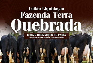 LEILÃO LIQUIDAÇÃO DE PLANTEL FAZENDA TERRA QUEBRADA