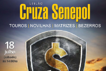 LEILÃO CRUZA SENEPOL