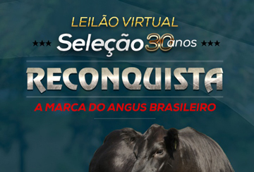 LEILÃO VIRTUAL SELEÇÃO 30 ANOS RECONQUISTA