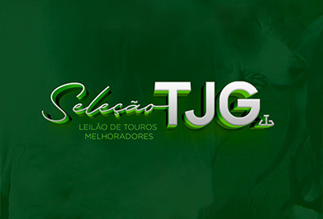 LEILÃO DE TOUROS MELHORADORES SELEÇÃO TJG