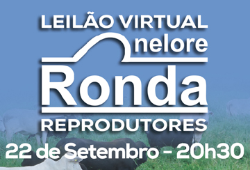 LEILÃO VIRTUAL REPRODUTORES NELORE RONDA