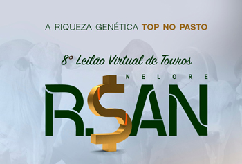 8º LEILÃO VIRTUAL DE TOUROS NELORE RSAN