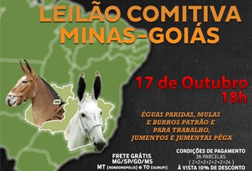 LEILÃO COMITIVA MINAS - GOIÁS  - OFERTA ESPECIAL