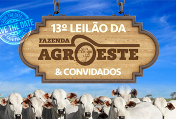 13º LEILÃO FAZENDA AGROESTE & CONVIDADOS