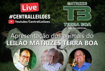 Live - LEILÃO MATRIZES TERRA BOA