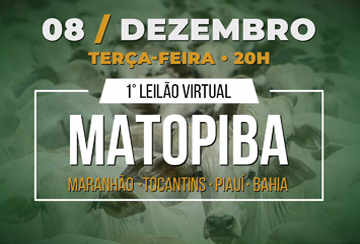 1º LEILÃO VIRTUAL MATOPIBA