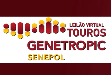 LEILÃO VIRTUAL TOUROS GENETROPIC SENEPOL