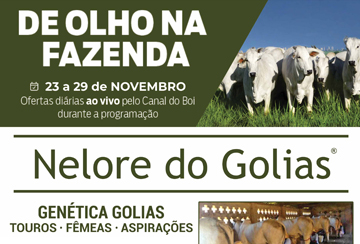 LEILÃO NELORE DO GOLIAS - DE OLHO NA FAZENDA DE 23 A 29/11