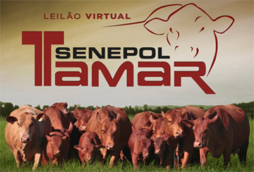 LEILÃO VIRTUAL SENEPOL TAMAR - DE OLHO NA FAZENDA DE 10/03 A 17/03