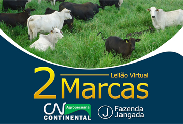 LEILÃO VIRTUAL 2 MARCAS