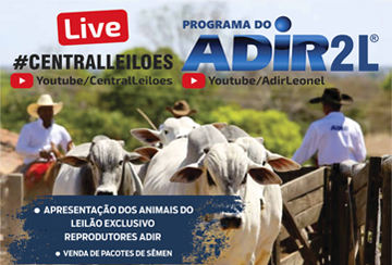 LIVE - PROGRAMA DO ADIR