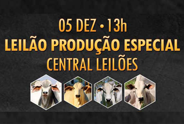 LEILÃO PRODUÇÃO ESPECIAL CENTRAL LEILÕES