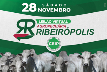 LEILÃO VIRTUAL AGROPECUÁRIA RIBEIRÓPOLIS