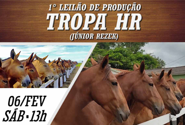 1º LEILÃO DE PRODUÇÃO TROPA HR