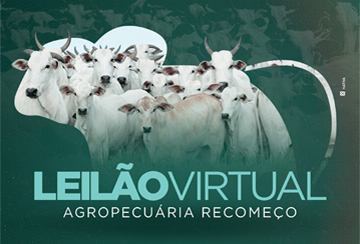 LEILÃO VIRTUAL AGROPECUÁRIA RECOMEÇO