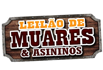 LEILÃO DE MUARES & ASININOS