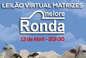 LEILÃO VIRTUAL MATRIZES NELORE RONDA