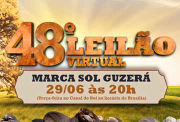 48º LEILÃO VIRTUAL MARCA SOL GUZERÁ