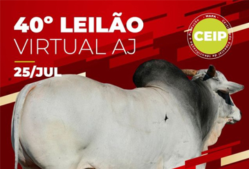 40º LEILÃO VIRTUAL AGROPECUÁRIA JACAREZINHO