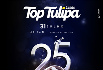 LEILÃO TOP TULIPA