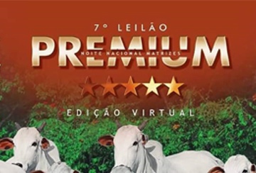 7º LEILÃO VIRTUAL NOITE NACIONAL MATRIZES PREMIUM