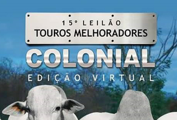 15º LEILÃO VIRTUAL TOUROS MELHORADORES COLONIAL