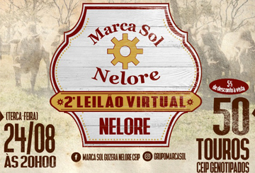 2º LEILÃO VIRTUAL MARCA SOL NELORE