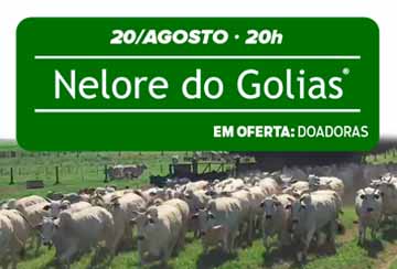 LEILÃO VIRTUAL NELORE DO GOLIAS - DOADORAS