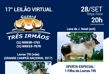 17º LEILÃO VIRTUAL GUZERÁ TRÊS IRMÃOS