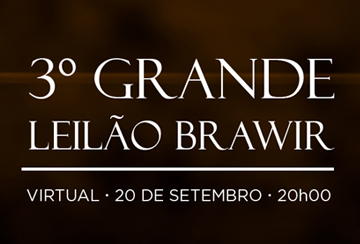 3º GRANDE LEILÃO BRAWIR
