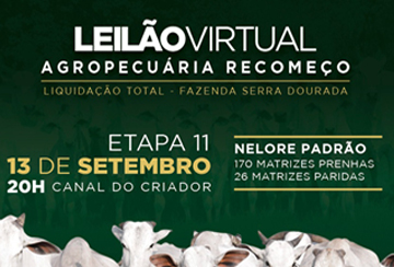 LEILÃO VIRTUAL DE LIQUIDAÇÃO AGROPECUÁRIA RECOMEÇO - ETAPA 11