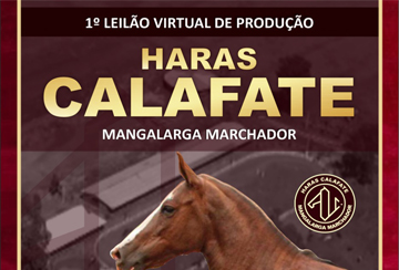 1º LEILÃO VIRTUAL DE PRODUÇÃO HARAS CALAFATE