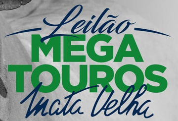 LEILÃO MEGA TOUROS MATA VELHA