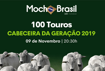 LEILÃO VIRTUAL MOCHO BRASIL