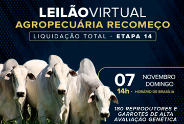 LEILÃO VIRTUAL AGROPECUÁRIA RECOMEÇO - LIQUIDAÇÃO TOTAL - ETAPA 14