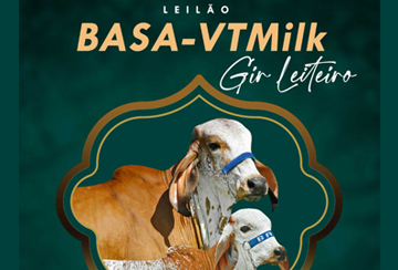 LEILÃO BASA-VTMILK GIR LEITEIRO