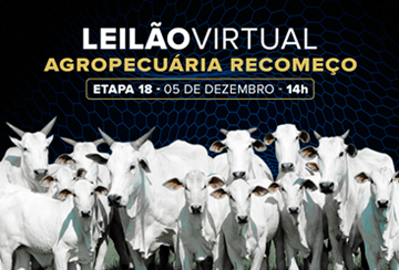 LEILÃO VIRTUAL AGROPECUÁRIA RECOMEÇO - ETAPA 18