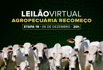 LEILÃO VIRTUAL AGROPECUÁRIA RECOMEÇO - ETAPA 19