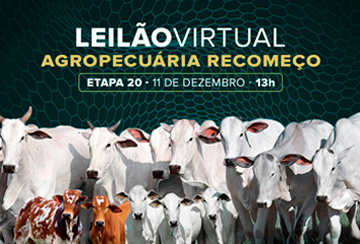 LEILÃO VIRTUAL AGROPECUÁRIA RECOMEÇO - ETAPA 20