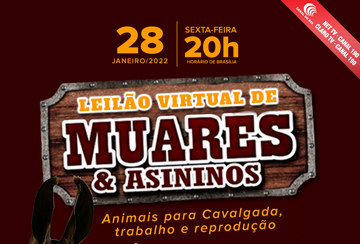 LEILÃO VIRTUAL DE MUARES & ASININOS