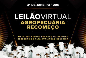 LEILÃO VIRTUAL AGROPECUÁRIA RECOMEÇO