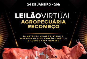 LEILÃO VIRTUAL AGROPECUÁRIA RECOMEÇO