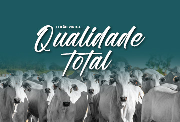 LEILÃO VIRTUAL QUALIDADE TOTAL