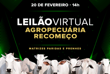 LEILÃO VIRTUAL AGROPECUÁRIA RECOMEÇO