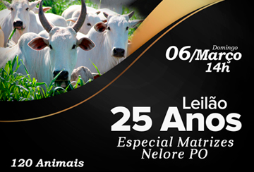 LEILÃO 25 ANOS - ESPECIAL MATRIZES NELORE PO