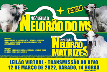 46º LEILÃO VIRTUAL NELORÃO DO MS