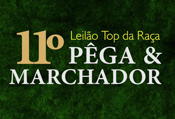 11º LEILÃO TOP DA RAÇA PÊGA & MARCHADOR