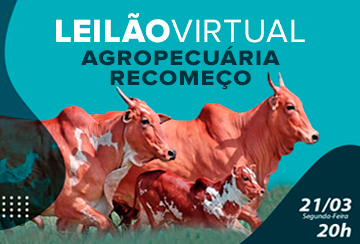 LEILÃO VIRTUAL AGROPECUÁRIA RECOMEÇO